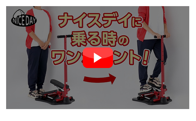 ショップジャパン（Shop Japan） 健康ステッパー ナイスデイ 正規品