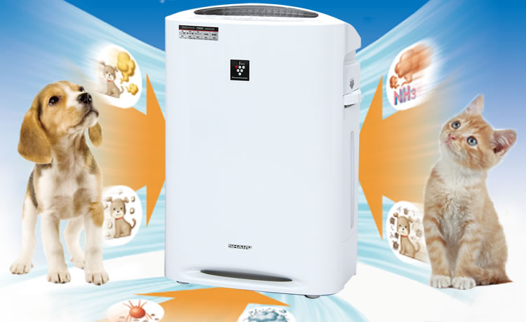 IRIS OHYAMA（アイリスオーヤマ） 加湿空気清浄機 KC-40P1-W SHARP