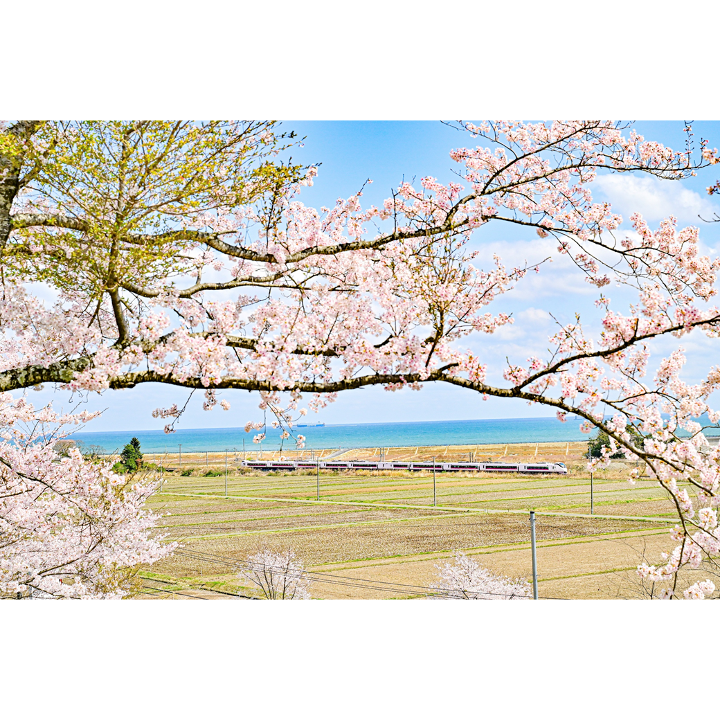 福島の鉄道風景】武川健太 撮影「取り戻した日常の尊さ」 常磐線 竜田