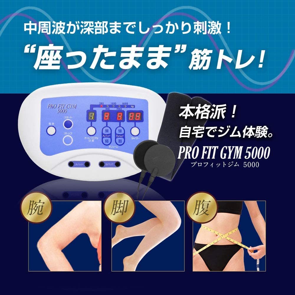 中周波 5000Hz EMS 8パット全身 筋肉運動 脂肪燃焼 プロフィットジム