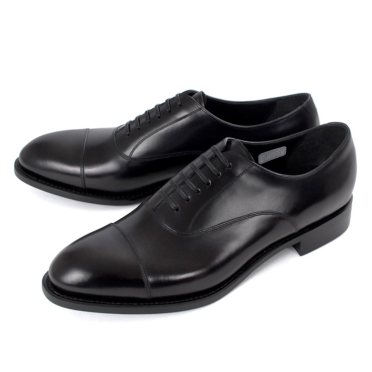 シェットランドフォックス（REGAL）のおすすめ人気商品一覧 通販