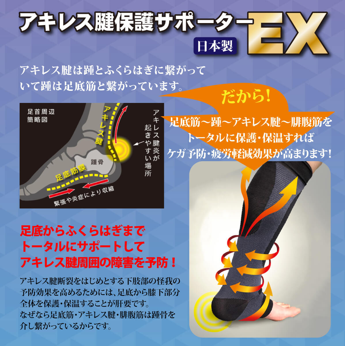 剣道 サポーター アキレス腱 保護 EX （ M / L LL ） : 西日本武道具