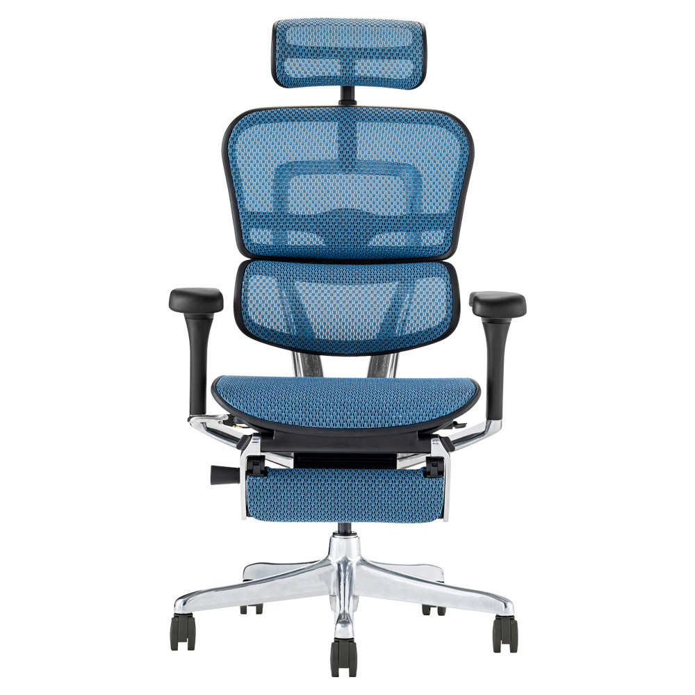 エルゴヒューマン（Ergohuman） メーカー組立済完成品 プロ2