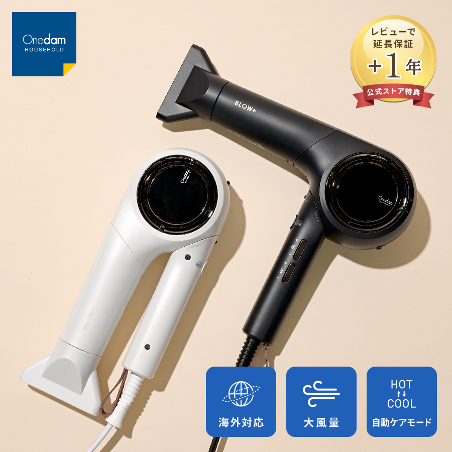 Onedam ドライヤー ワンダム 海外対応 大風量 速乾 低温 高温 マイナス