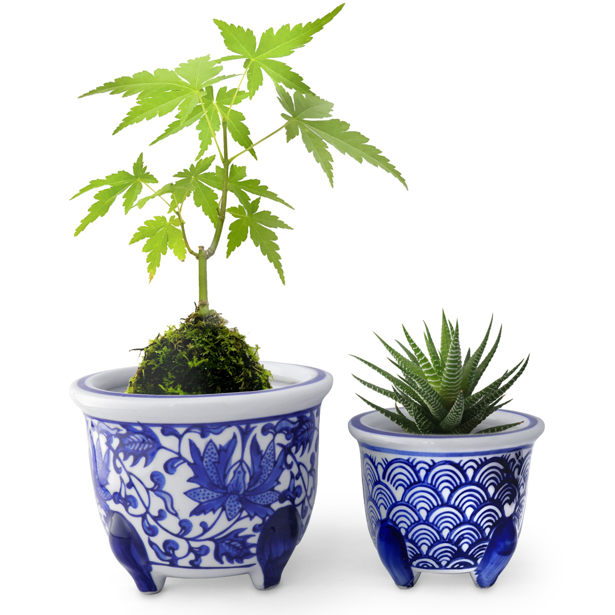 植木鉢 柄違い 2点セット おしゃれ 陶器 磁器 和風 丸鉢 深鉢 脚付き