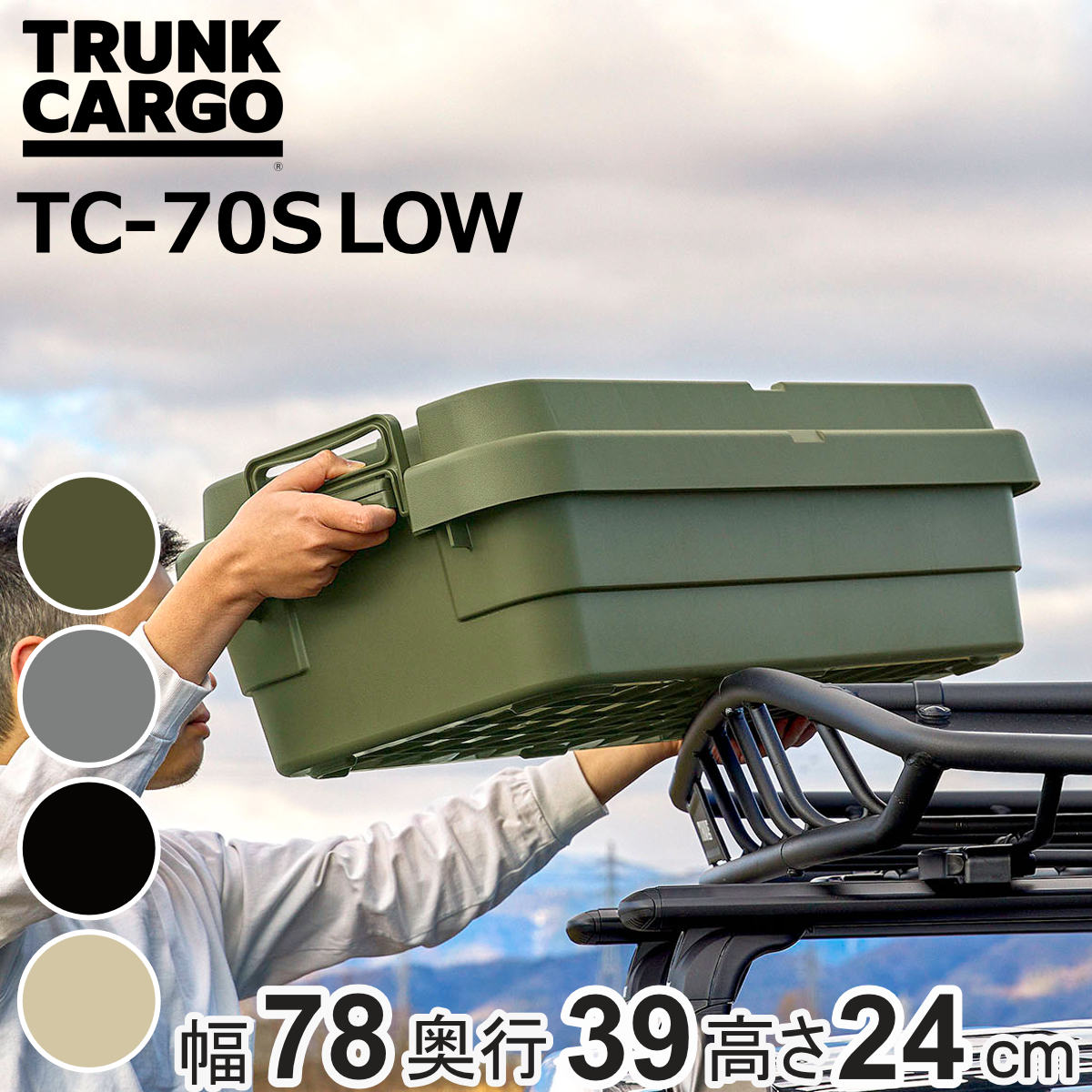 RISU（リス） 収納ボックストランクカーゴ LOW TC-70S 40L 幅78×奥行39