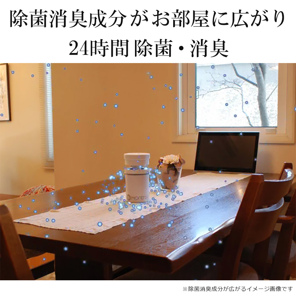 次亜塩素酸 ジアフリー 除菌消臭器 モントロワ （専用塩1年分（試供品+