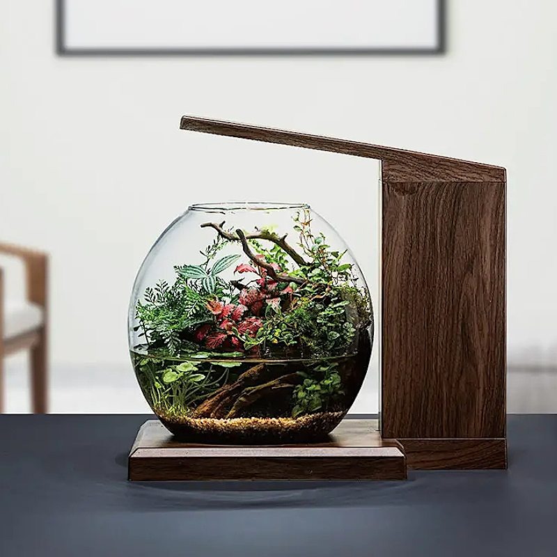 GEX（ジェックス） 観賞魚飼育水槽セット 水槽セット グラスアクア