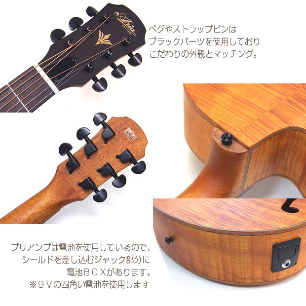 ARIA（アリア） エレアコ アコギ ARIA FET-F2 エレクトリック