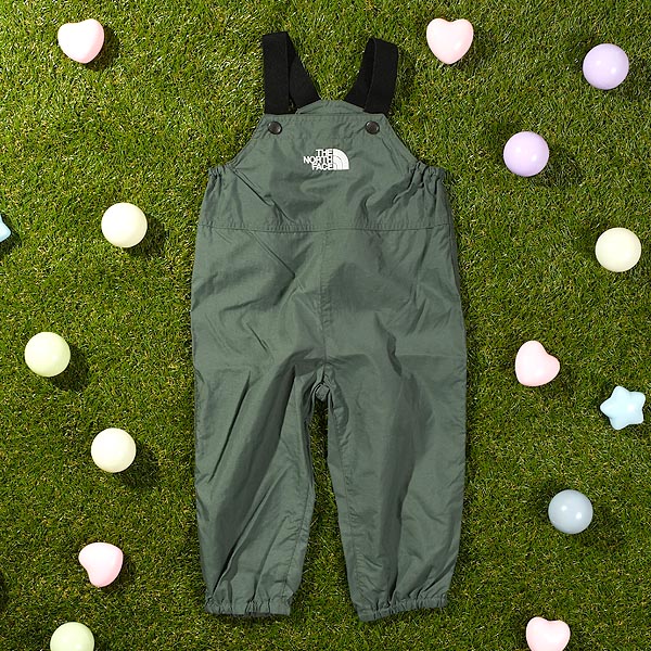 THE NORTH FACE（ザ ノースフェイス） ネコポス発送！送料無料 2026春