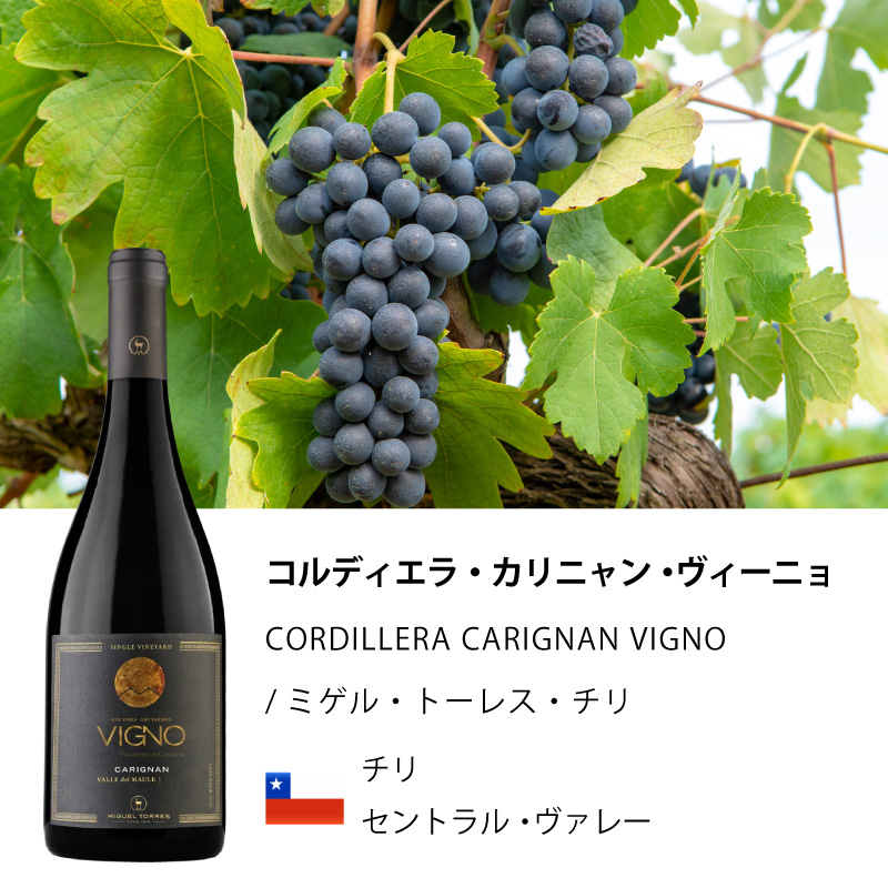 MIGUEL TORRES CHILE（ミゲル・トーレス・チリ） ワイン 赤ワイン 2020