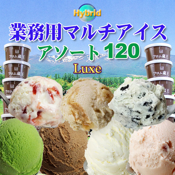 フロム蔵王 【業務用Luxe】Hybridマルチアイス・アソート120個セット