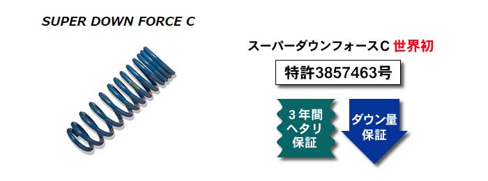 ズーム ZOOM スーパーダウンフォースC 1台分セット ダウンサス