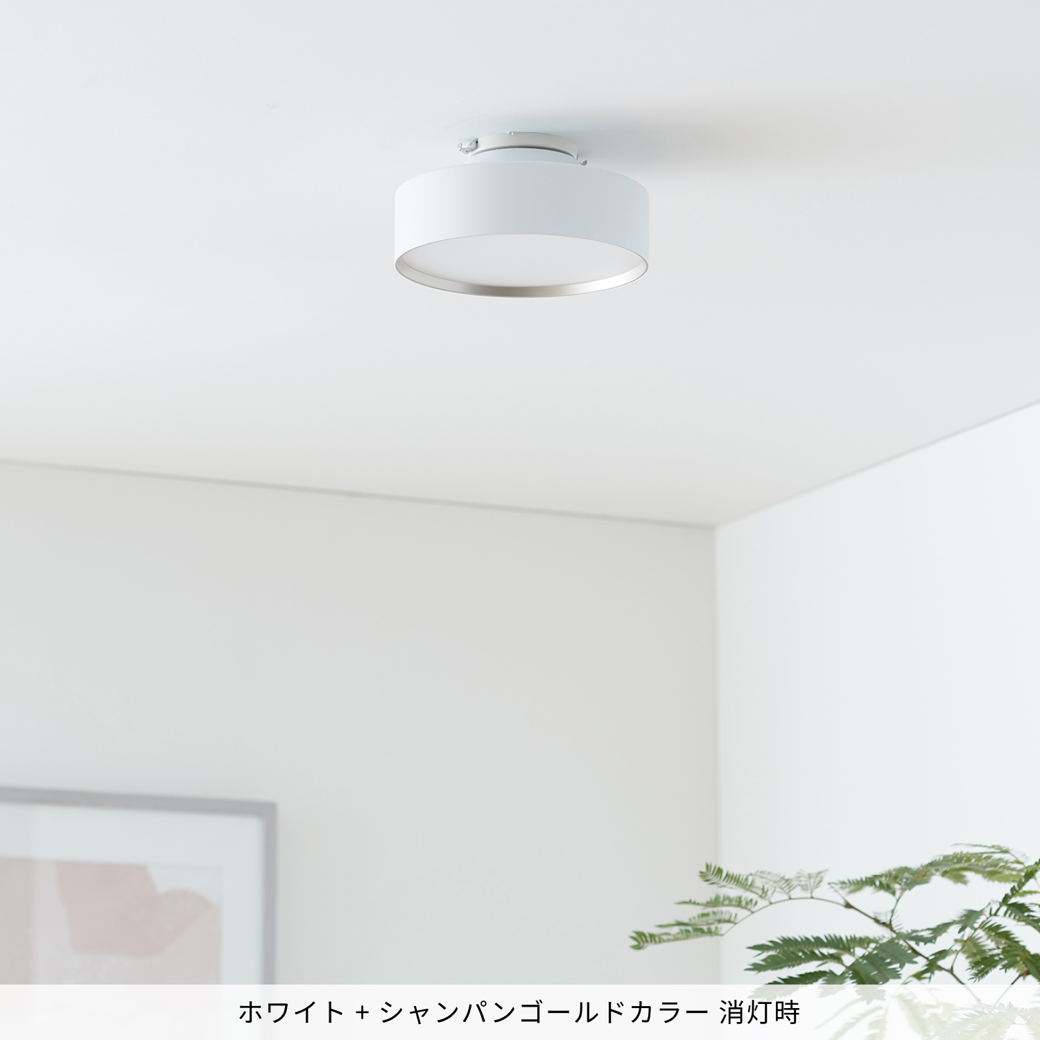 ARTWORKSTUDIO（アートワークスタジオ） シーリングライト 4畳 5畳