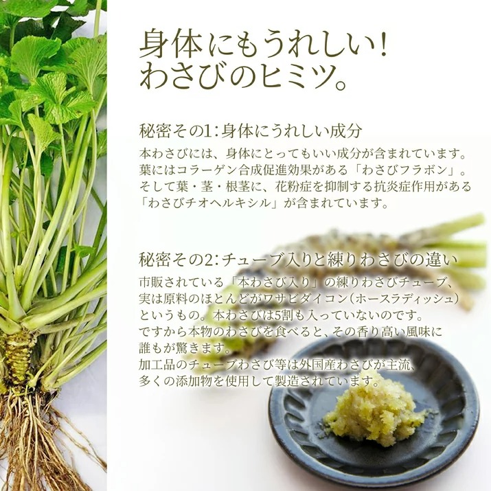 2026年1月中旬頃発送より】 本わさび 1〜4本 約150g 無農薬 名水百選