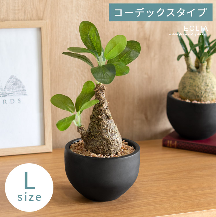 フェイクグリーン 観葉植物 コーデックス 塊根植物 人工観葉植物 人工