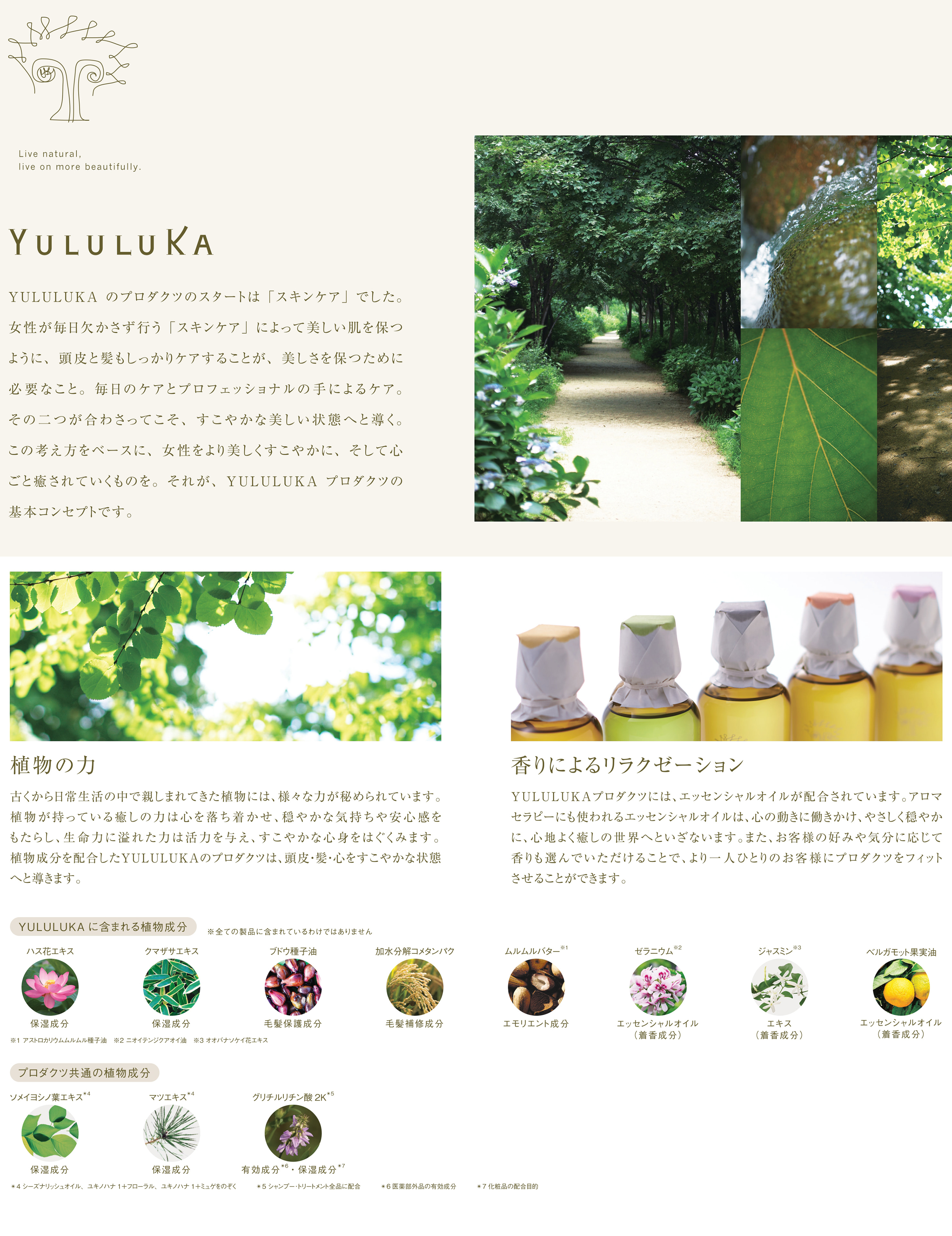 no3（NUMBER THREE） ナンバースリー ユルルカ フローラルリペア