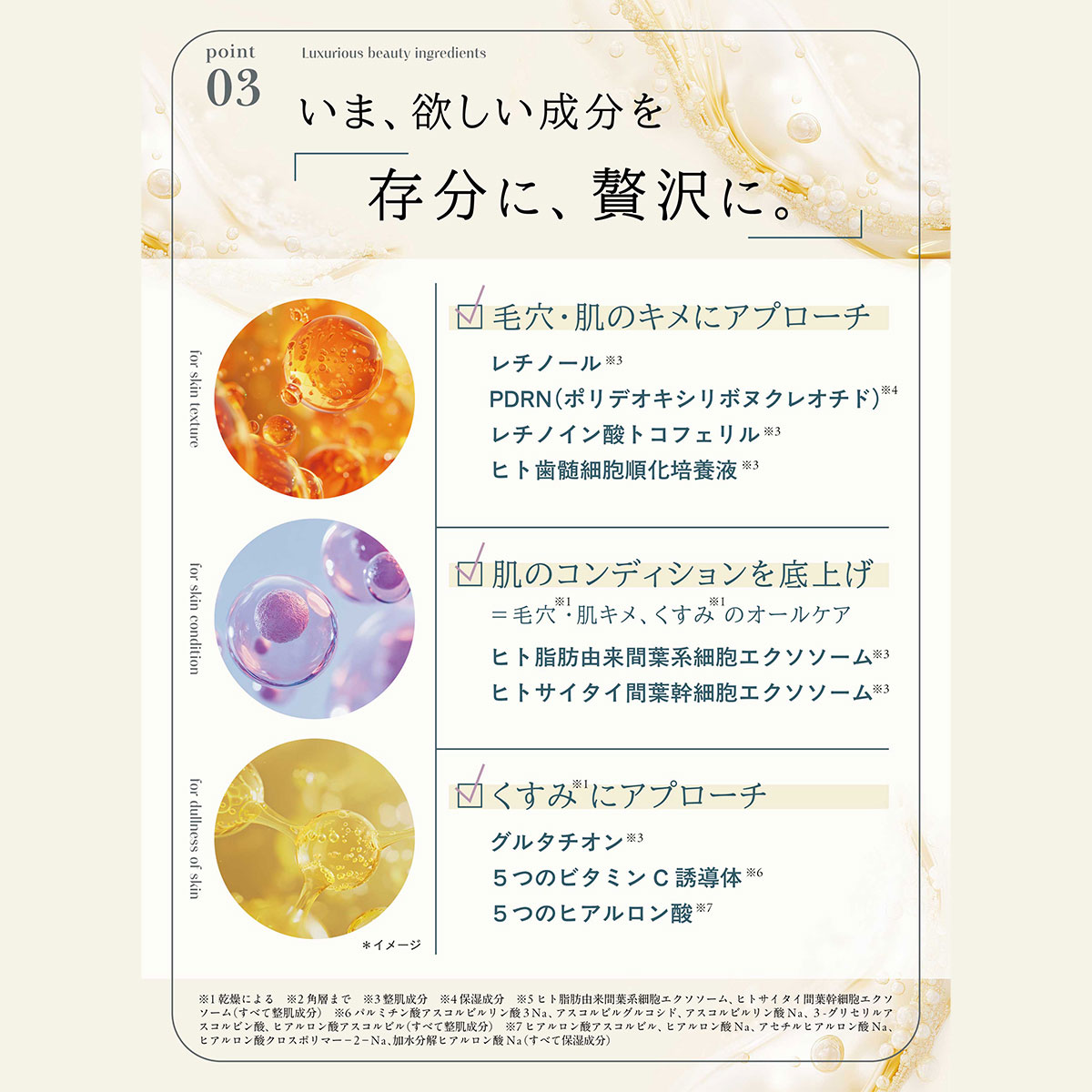 NOWL ノウル ニードルデュアルセラム 30mL 正規品 エクスボーテ Ex