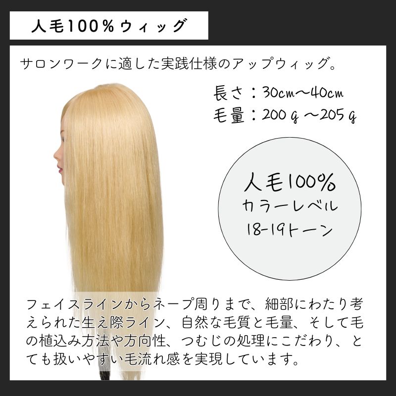 N.B.A.A.（エヌビーエーエー） NBAA アップウィッグ シャイニー NB