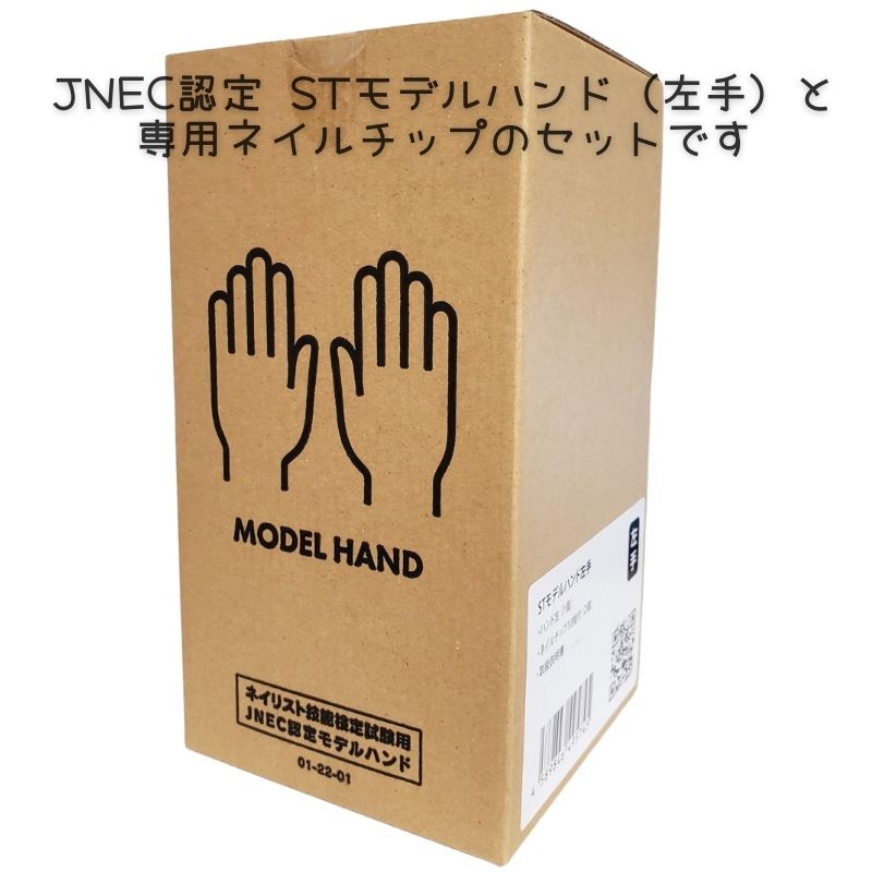 認定ハンド【新品未使用】 STモデルハンド セット（JNEC 第1期認定