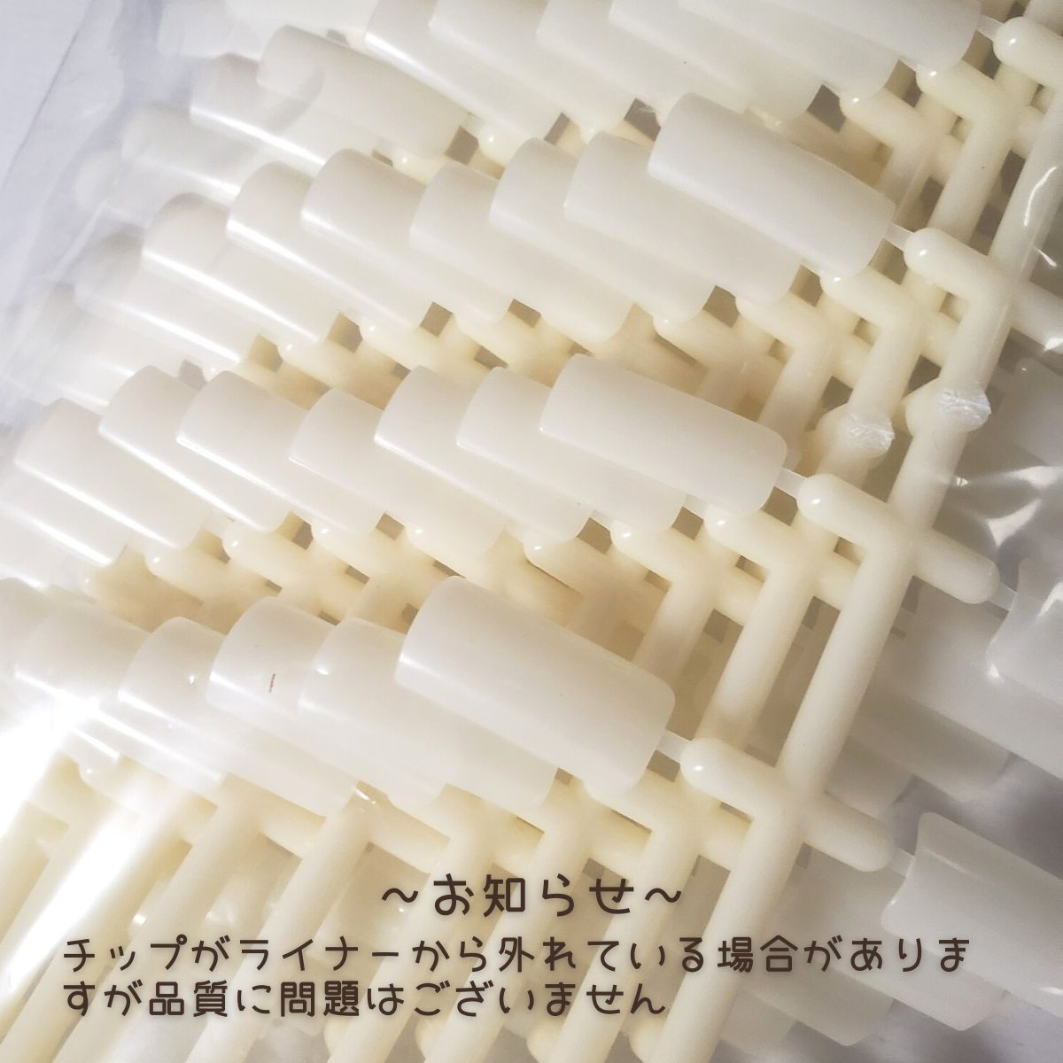 滝川（TAKIGAWA） JNEC認定ハンド用 ネイルチップ 10指 10セット ST