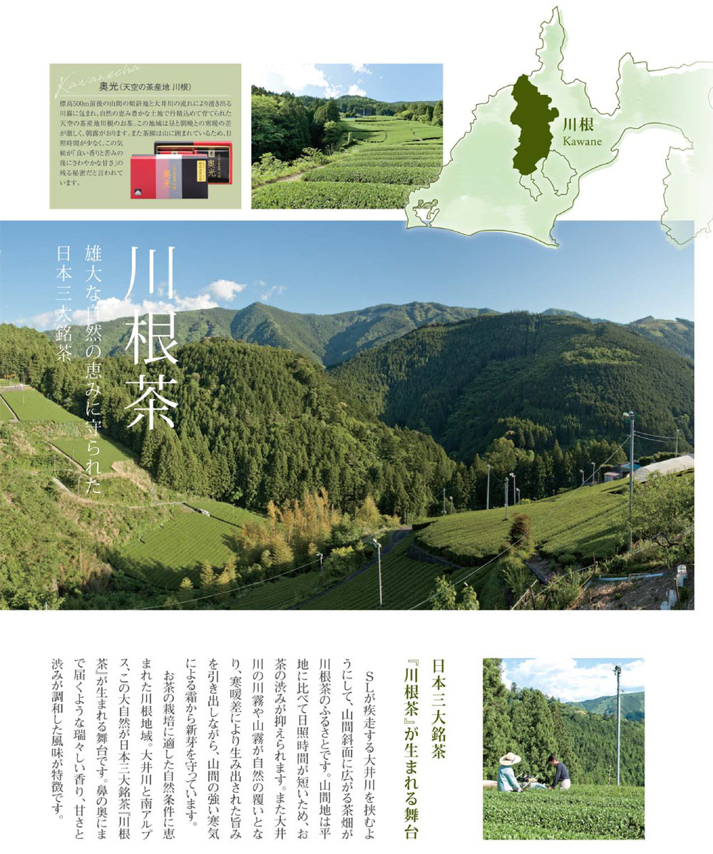 送料無料！川根茶1番茶使用】地元農協が仕上げた川根産家庭用飲み茶