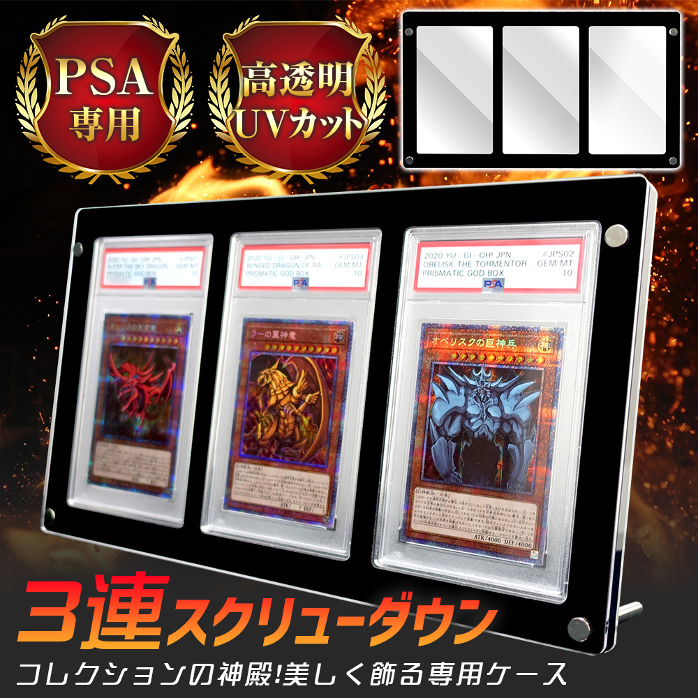 ポイント10倍】 【3連タイプ】 スクリューダウン PSA マグネット