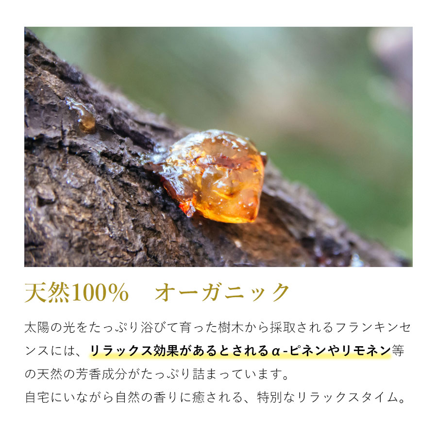 フランキンセンス オマーン産 乳香 ブラックシャザリ 100g 茶色〜黒