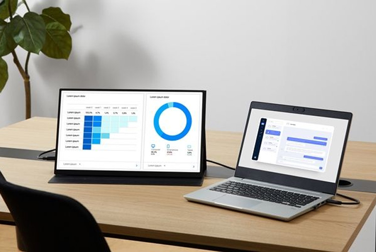 アイリスオーヤマ LUCA ルカ ポータブルモニター 18.5V型 ブラック DP
