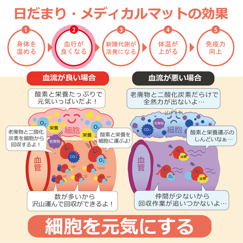 遠赤外線温熱ボディケアドーム 遠赤王「日だまり」 全国送料無料