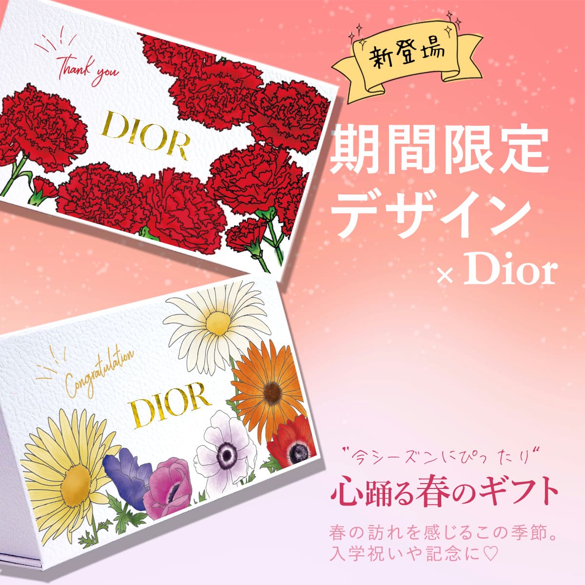 Christian Dior（クリスチャン・ディオール） DIOR リップ ハンド