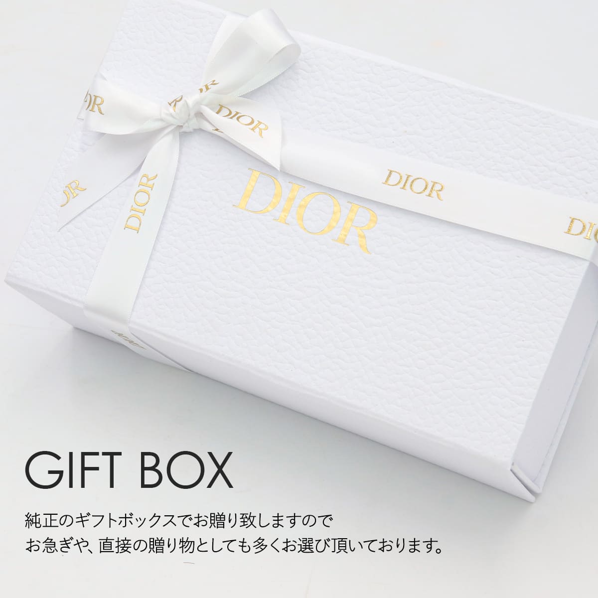 Christian Dior（クリスチャン・ディオール） DIOR リップ ハンド