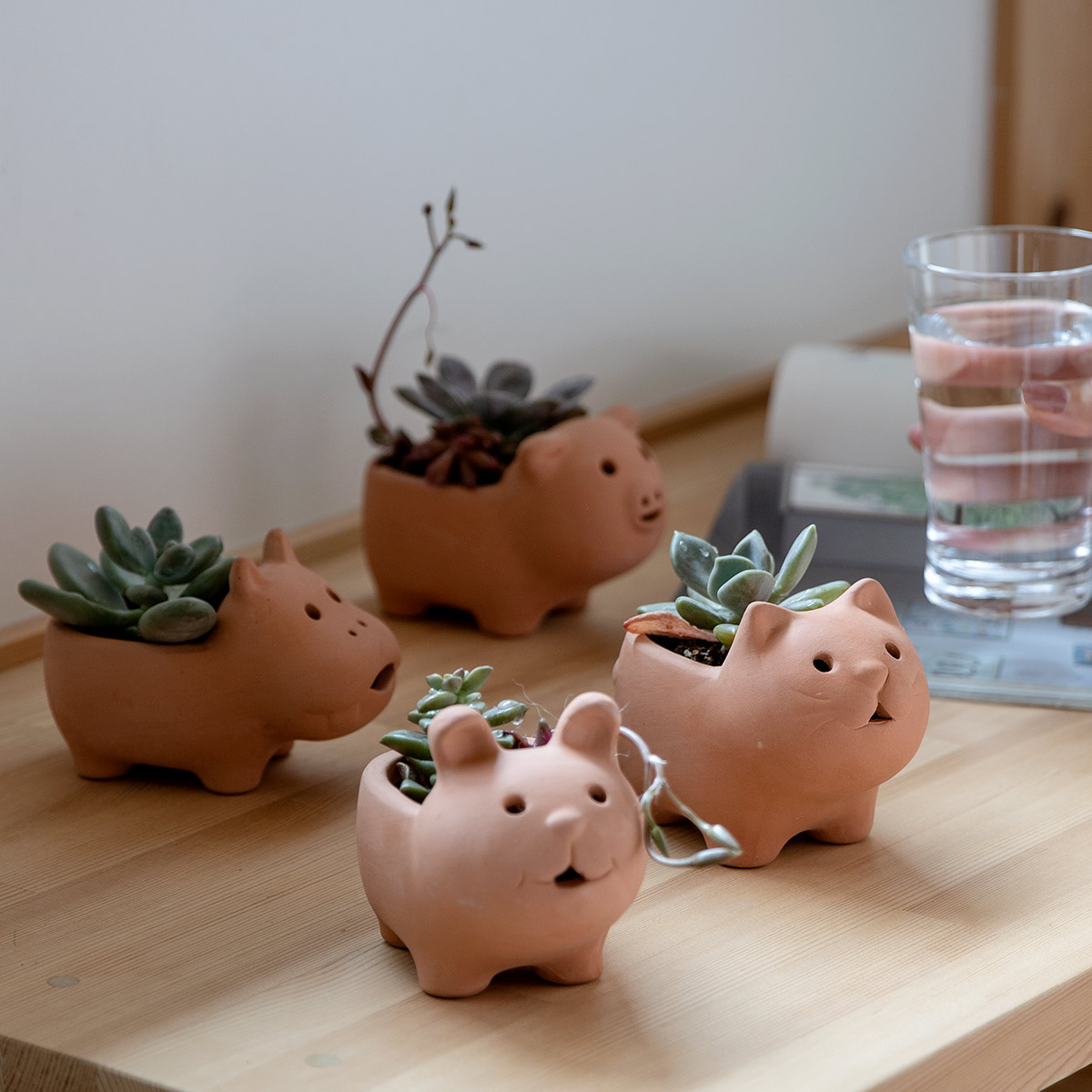 プランター アニマルテラコッタポット ブタ 2号 （ 植木鉢 プラント