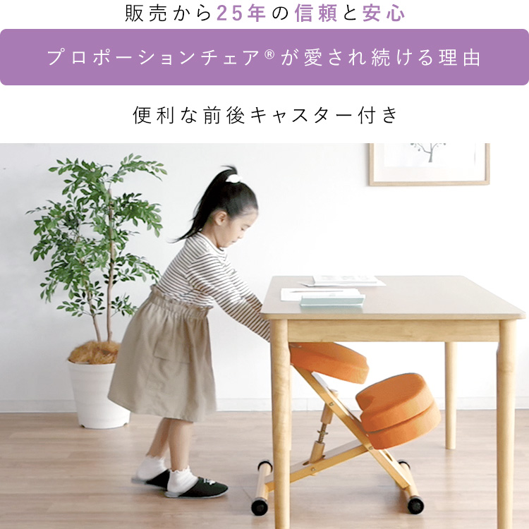 宮武製作所 プロポーションチェア バランスチェア 姿勢矯正 骨盤矯正