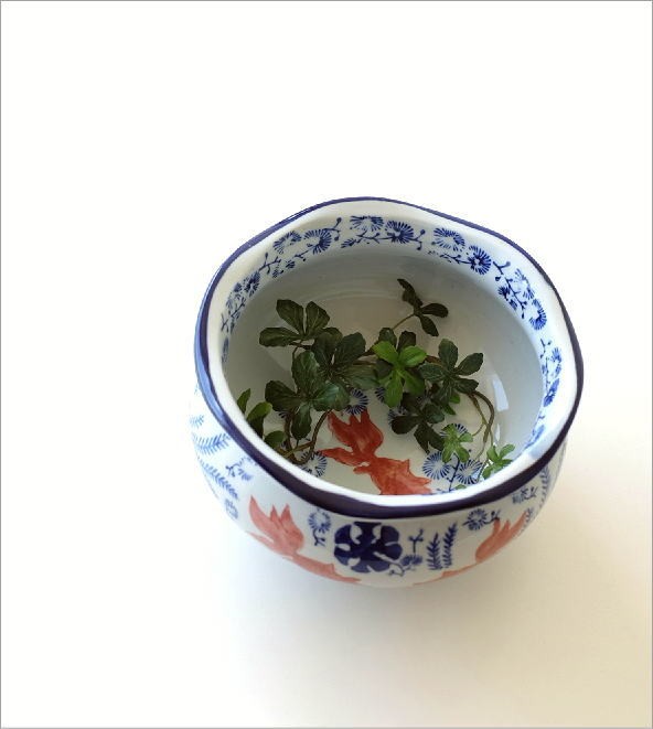 金魚鉢 おしゃれ 陶器 メダカ鉢 和風 レトロ アンティーク ビオトープ
