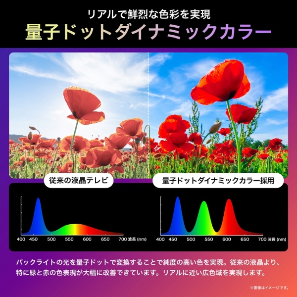 ハイセンス（HISENSE） 液晶テレビ 【設置込み】 Hisense 65U9N U9N