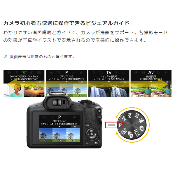 EOS ミラーレス一眼カメラ Canon キヤノン R100 ダブルズームキット