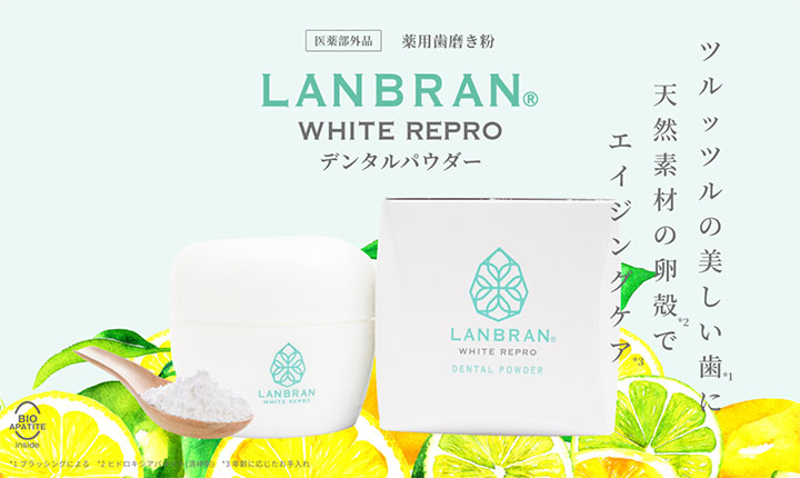 歯を白くする デンタルパウダー シトラスミント 26g 1個 歯磨き粉