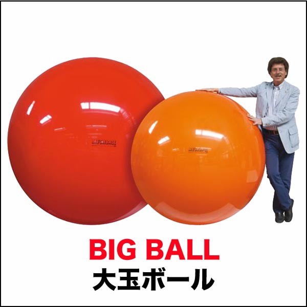 GYMNIC お取り寄せ商品 ギムニク バランスボール 120 レッド フィジオ