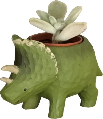 花のギフト社 多肉植物 鉢植え 多肉 トリケラトプス ティラノサウルス