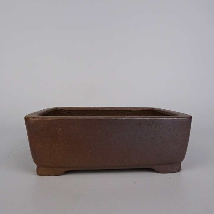盆栽鉢 常滑 柴勝 小型 長辺 約12.5cm 長方鉢 泥鉢 現品 新品 : はニわ