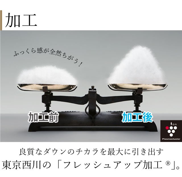 西川プレミアム [ポイント10倍] 羽毛掛けふとん シングルロング（SL