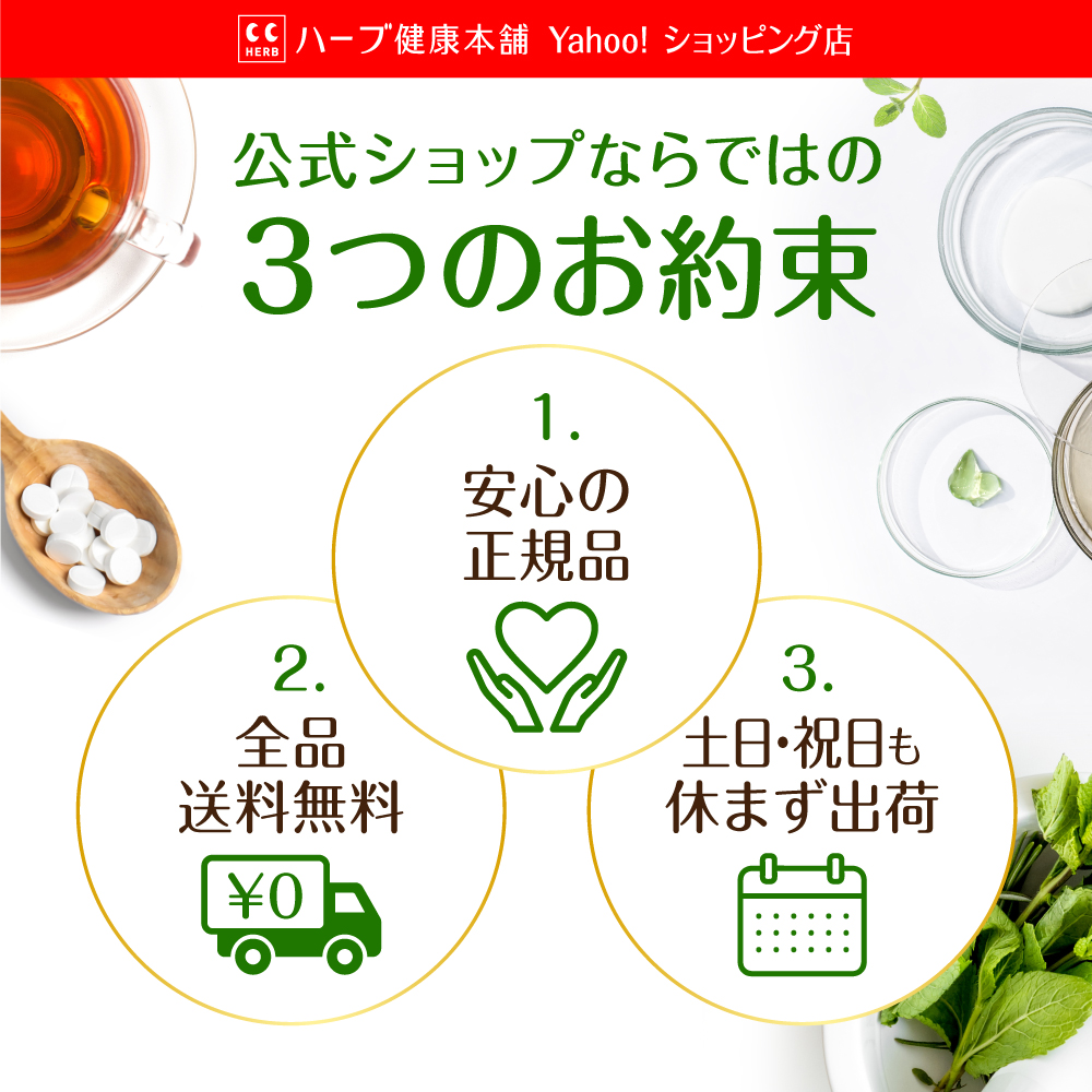 ハーブ健康本舗 ほぐらくケア EX 90錠（30日分）[ 腰痛 肩こり 血流