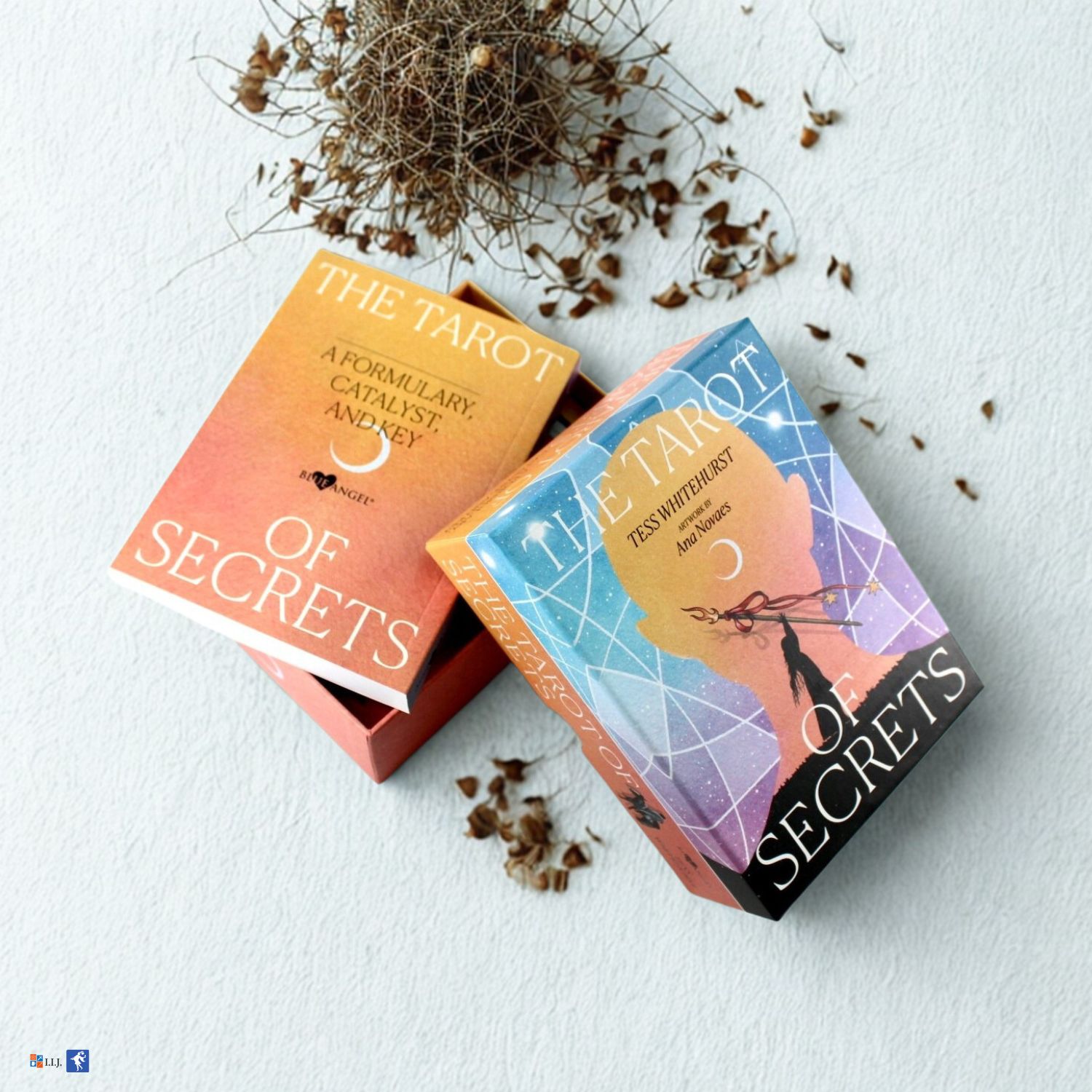 タロット・オブ・シークレッツ The Tarot of Secrets タロットカード