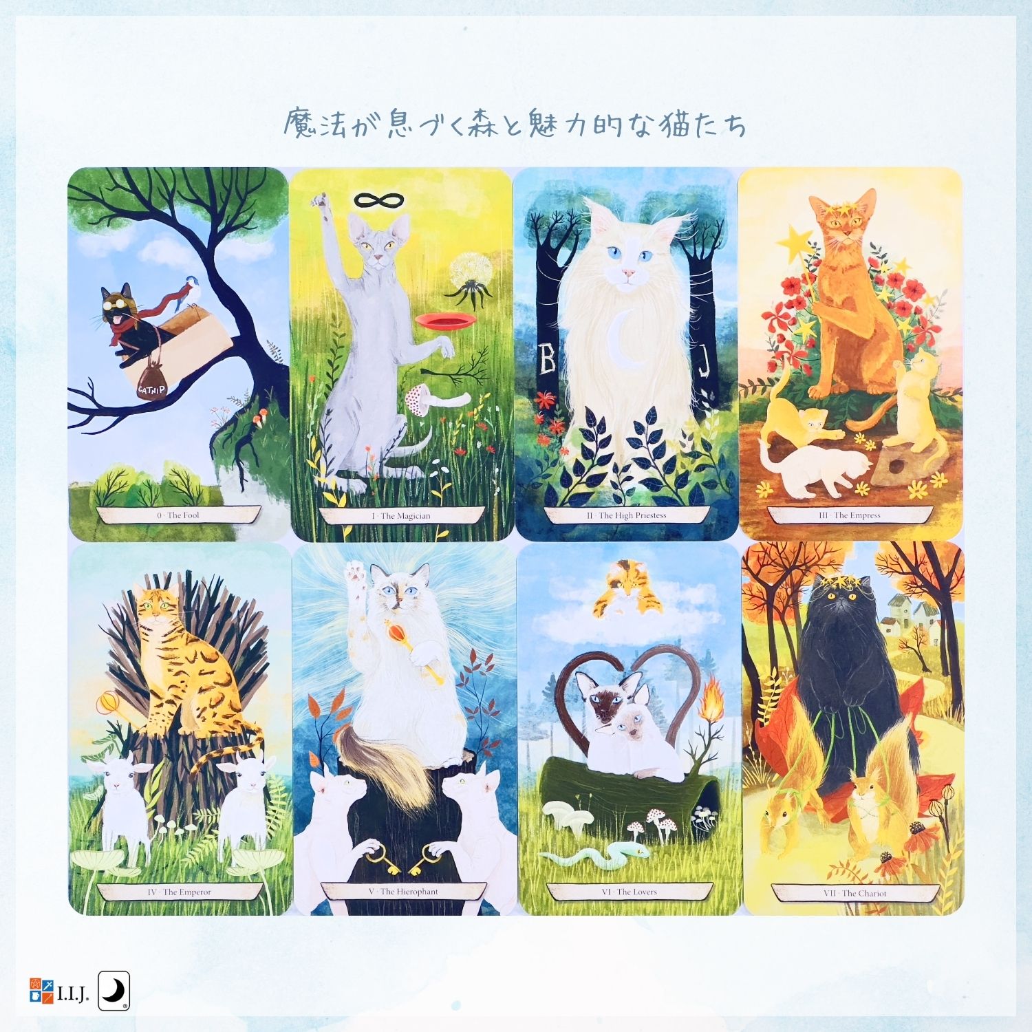 エンチャンテッド・フォレスト・フィーライン・タロット Enchanted