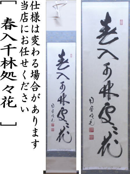 茶道具 掛軸 掛け軸 一行 春入千林処々花 田島碩應筆 茶道 : 茶道具