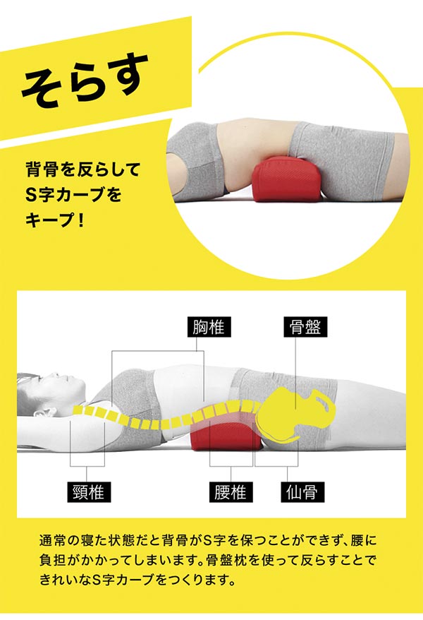 PROIDEA（プロイデア） ドリーム 福辻式寝ながら骨盤シェイプ枕DX 0070