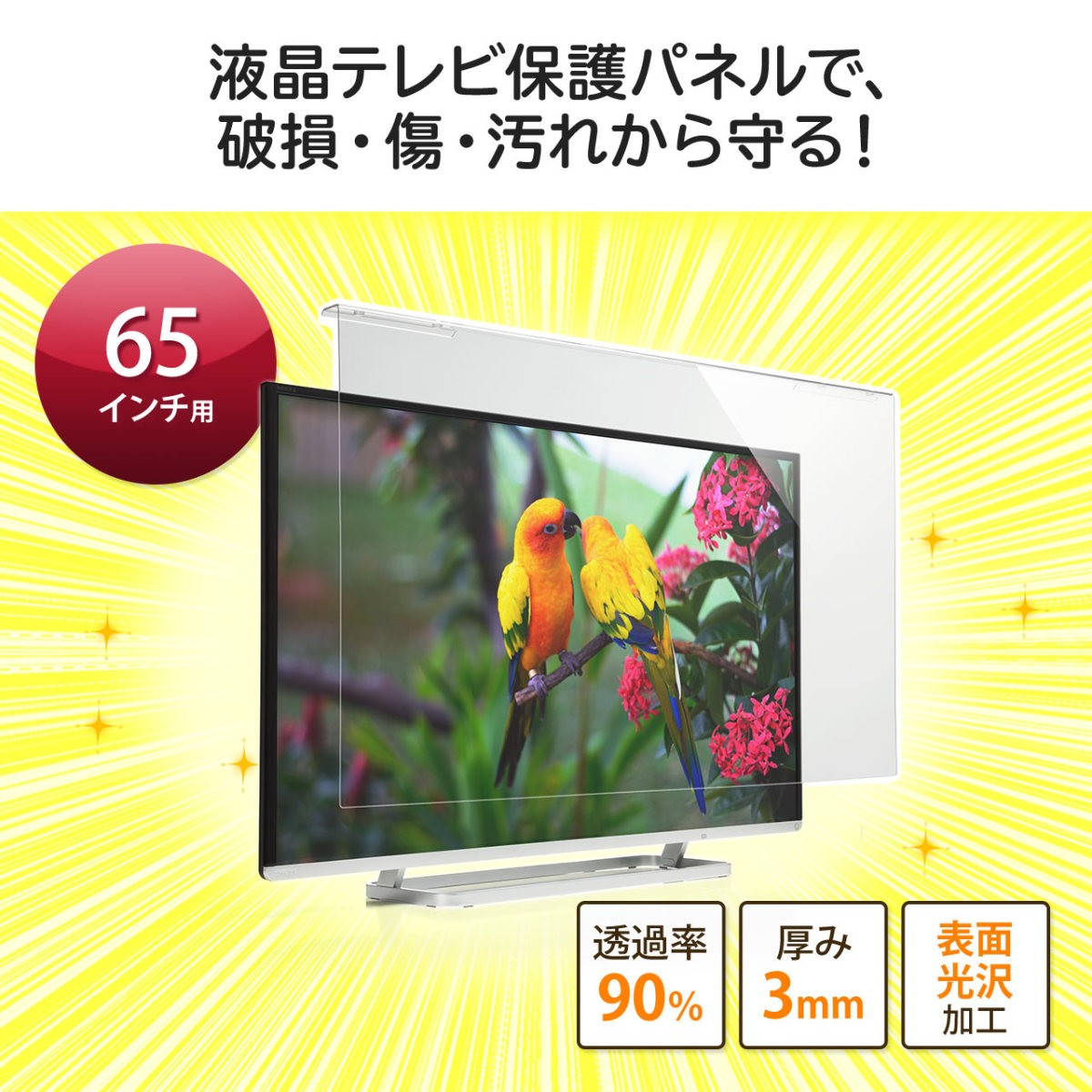 SANWA SUPPLY（サンワサプライ） テレビ 保護パネル 液晶テレビ TV