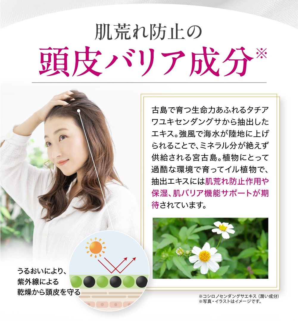 ワンステップカラークリームシャンプー 染める 洗う ダメージ補修 1本8