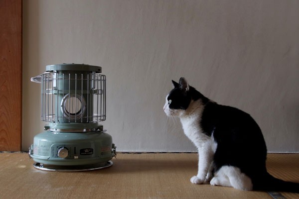 アラジン（Aladdin） ガスストーブ ポータブルガスストーブ センゴク